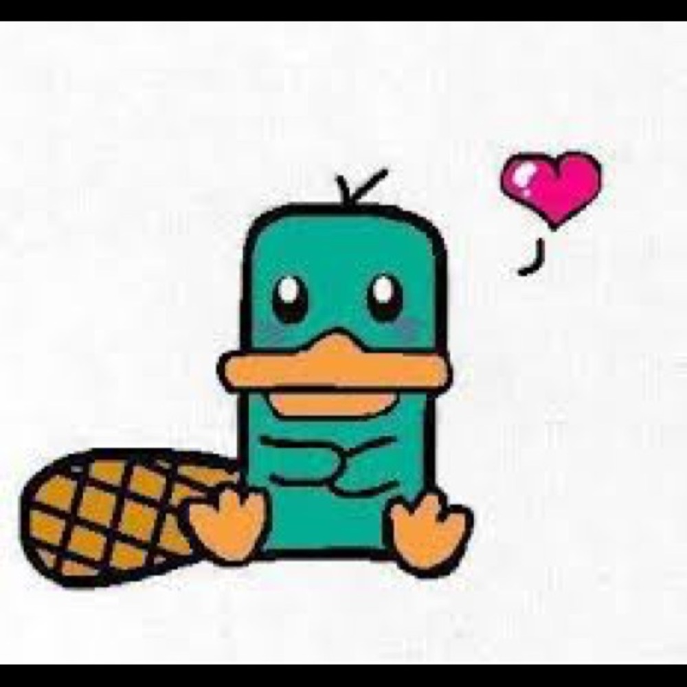 Meet your Posher, Jamie